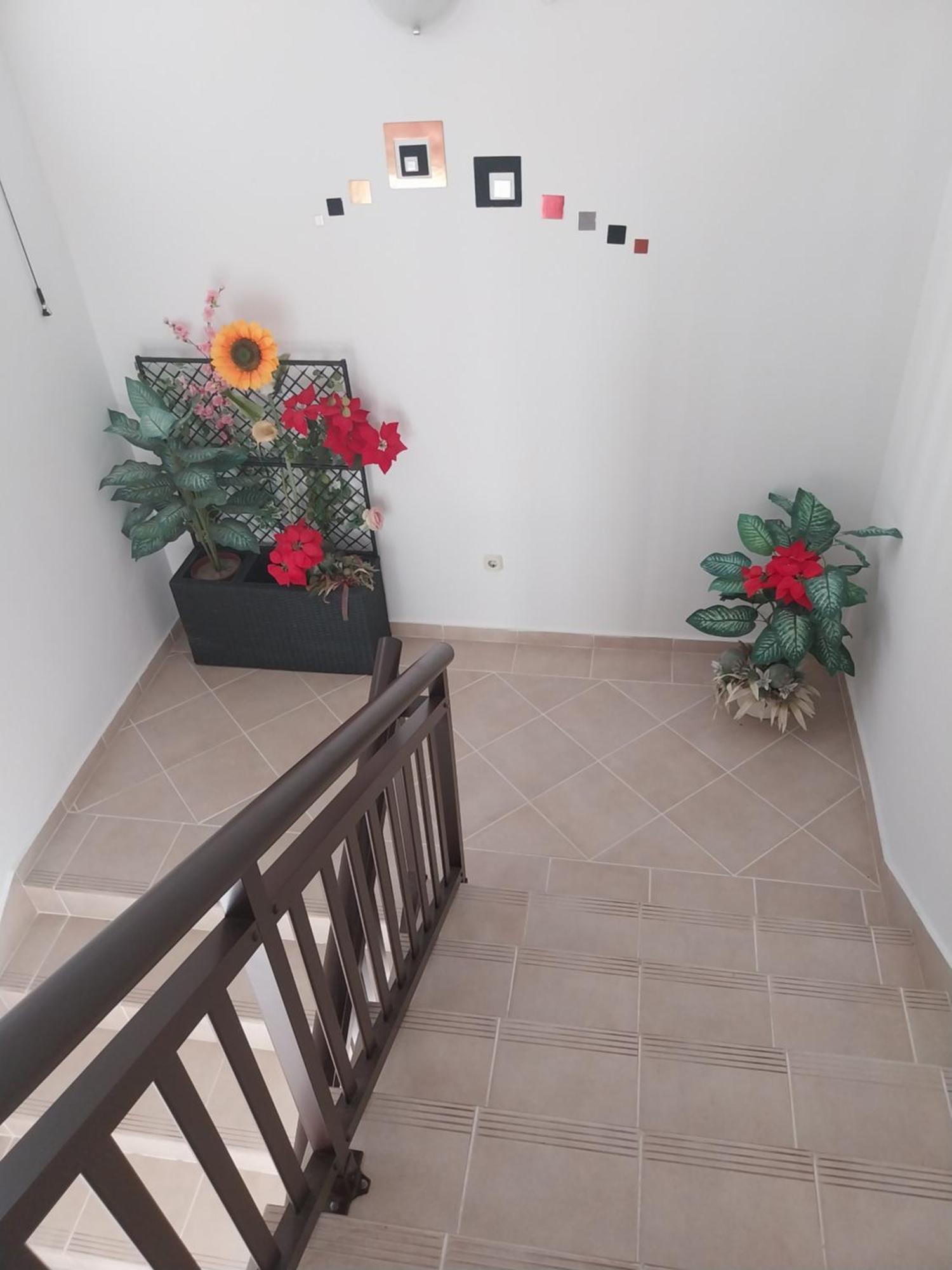 Apartmani Liberan 네움 객실 사진